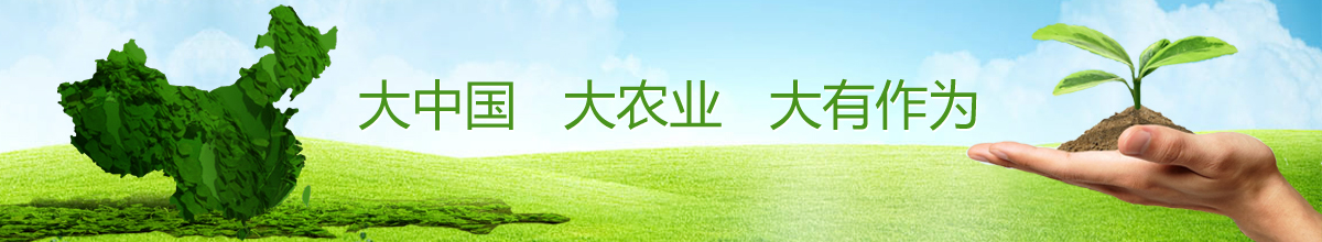 �Ϸ����繫˾